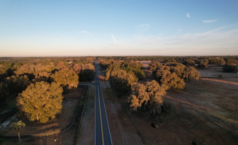 MARION COUNTY MICANOPY